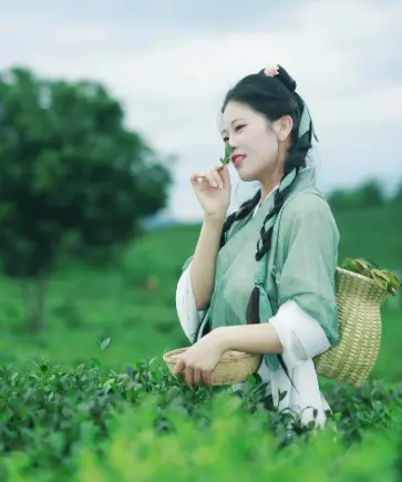 枫泾水乡-朱家角古镇（淀山湖房车露营营地推荐）究竟有多绝？住进风景里才算没白来🌿