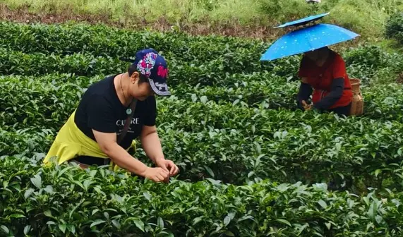 上海大宁灵石公园：樱花季拍照与遛娃避堵路线，我劝你别再傻傻挤正门了 🌸