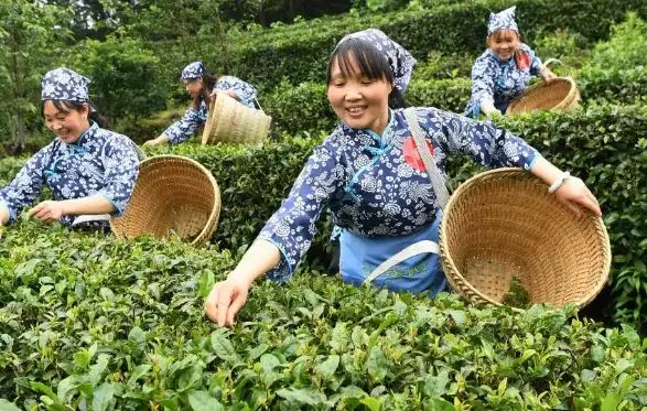 徐汇滨江宠物友好公园到底值不值得周末冲？我带狗带娃实测完直接说大实话