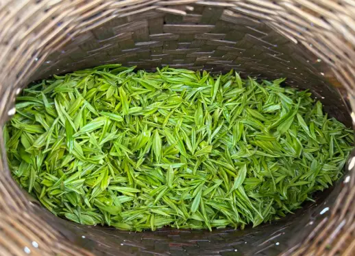 苏州河夜跑｜从昌平路桥跑到安远路桥的微风吹拂，这段路我跑了不下五十遍