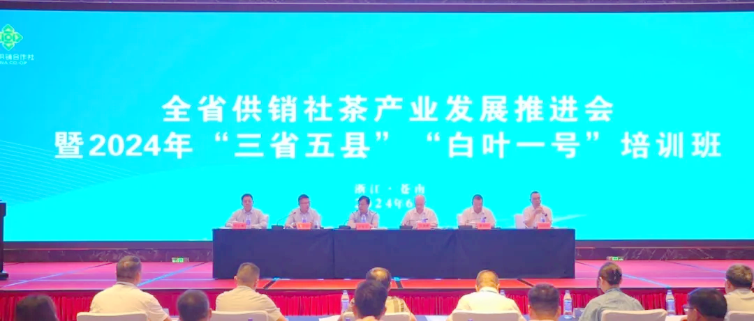 全省供销社茶财产成长推动会暨2024年“三省五县”“白叶一号”培训班顺遂举行