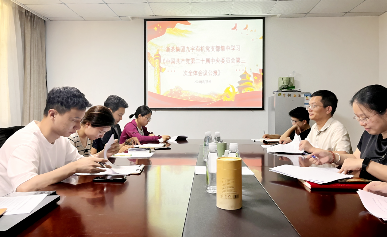 九宇无机党支部展开党的二十届三中全会精力专题进修